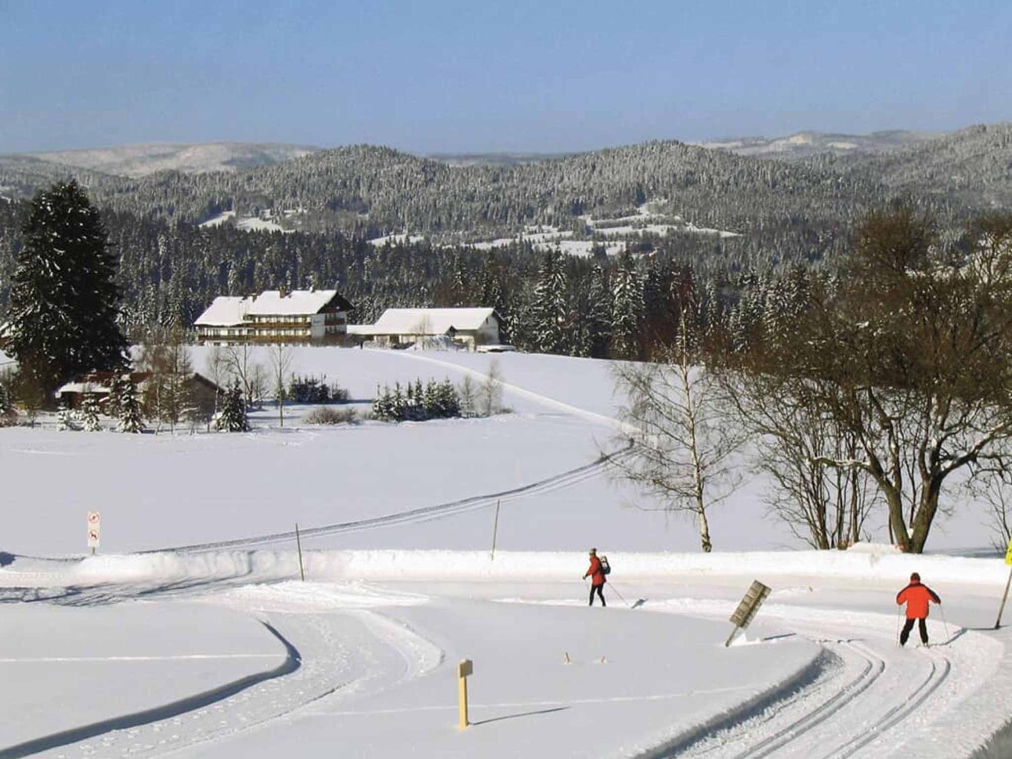 Hotel Maerchenwald Haidmuhle Bagian luar foto